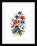 Cornflower, Poppy and Ox-eye Daisy by Nell Hill