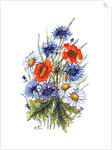 Cornflower, Poppy and Ox-eye Daisy by Nell Hill