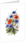 Cornflower, Poppy and Ox-eye Daisy by Nell Hill