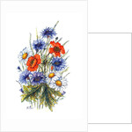 Cornflower, Poppy and Ox-eye Daisy by Nell Hill