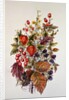 Autumn posy by Nell Hill