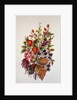 Autumn posy by Nell Hill