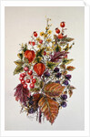 Autumn posy by Nell Hill