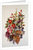Autumn posy by Nell Hill