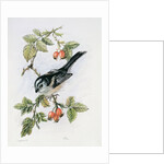 Long-tailed tit and rosehips by Nell Hill