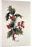 Holly and rosehips by Nell Hill