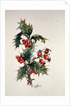 Holly and rosehips by Nell Hill
