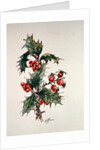 Holly and rosehips by Nell Hill
