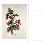Holly and rosehips by Nell Hill