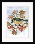 Blue Tit on Hawthorn by Nell Hill