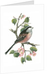 Long tailed tit and cherry blossom by Nell Hill