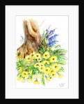 Spring Woodland by Nell Hill