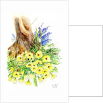 Spring Woodland by Nell Hill