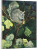 The Fig Thief, 2016 by Julie Held