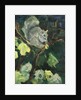 The Fig Thief, 2016 by Julie Held