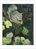 The Fig Thief, 2016 by Julie Held