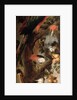 Macaws and Parrots by Frans Snyders or Snijders