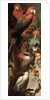 Macaws and Parrots by Frans Snyders or Snijders