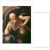 Winter by Agostino Scilla