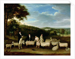 Portrait of Thomas William Coke, Esq. inspecting some of his South Down sheep with Mr Walton and the Holkham shepherds by Thomas Weaver