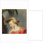 Return of the holy family from Egypt, detail of the Virgin Mary by Peter Paul Rubens