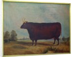 A North Devon Ox in a Landscape, 1837 by William Carmichael Baker