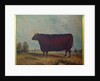 A North Devon Ox in a Landscape, 1837 by William Carmichael Baker