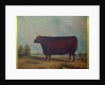 A North Devon Ox in a Landscape, 1837 by William Carmichael Baker
