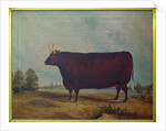 A North Devon Ox in a Landscape, 1837 by William Carmichael Baker