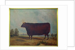A North Devon Ox in a Landscape, 1837 by William Carmichael Baker