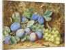 Plums and Grapes, 1877 by Thomas Collier