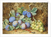 Plums and Grapes, 1877 by Thomas Collier