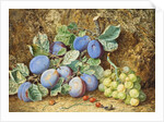 Plums and Grapes, 1877 by Thomas Collier