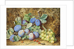Plums and Grapes, 1877 by Thomas Collier