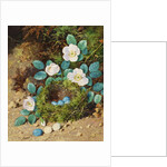 Still Life by William Cruikshank