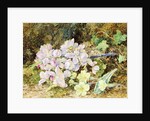 Almond Blossoms and Primroses, 1868 by John Jessop Hardwick