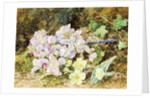 Almond Blossoms and Primroses, 1868 by John Jessop Hardwick