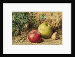 The Contrast - Red and Green Apples, c.1860 by William Henry Hunt