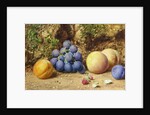 Black Grapes, Peaches, Apricots and Raspberries, c.1860 by William Henry Hunt