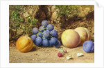 Black Grapes, Peaches, Apricots and Raspberries, c.1860 by William Henry Hunt