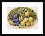 Golden Drop Plums and Black Grapes, c.1860 by William Henry Hunt
