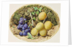 Golden Drop Plums and Black Grapes, c.1860 by William Henry Hunt
