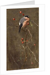 The Bullfinch by Edwin John Alexander