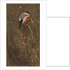 The Bullfinch by Edwin John Alexander