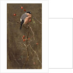 The Bullfinch by Edwin John Alexander