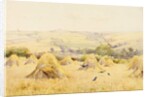 View of a Cornfield with Rooks by Harry E. James