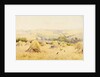 View of a Cornfield with Rooks by Harry E. James