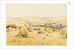 View of a Cornfield with Rooks by Harry E. James