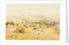 View of a Cornfield with Rooks by Harry E. James