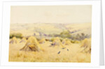 View of a Cornfield with Rooks by Harry E. James
